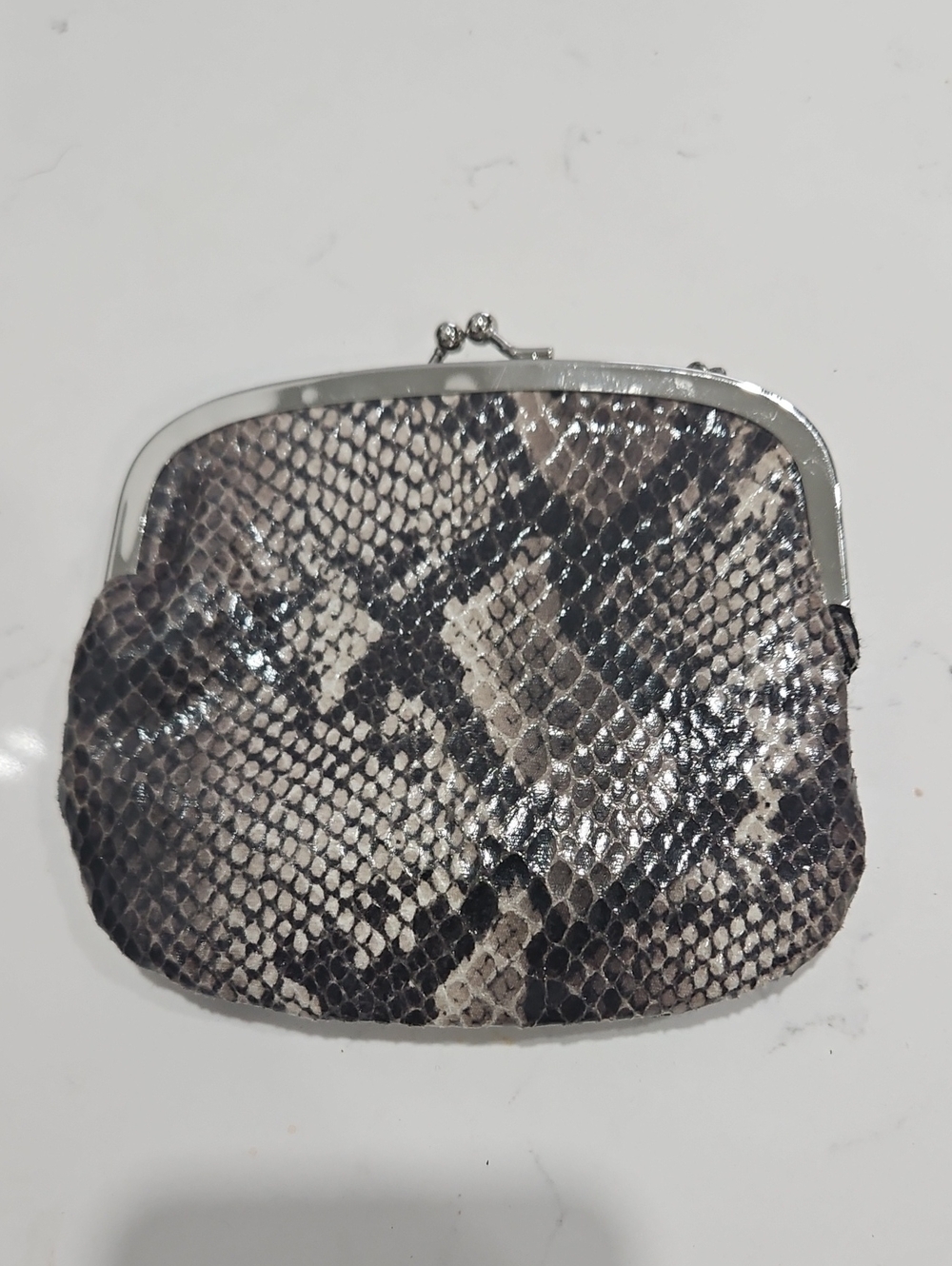 Poppie Snake-Print Coin Purse - Gray and Black